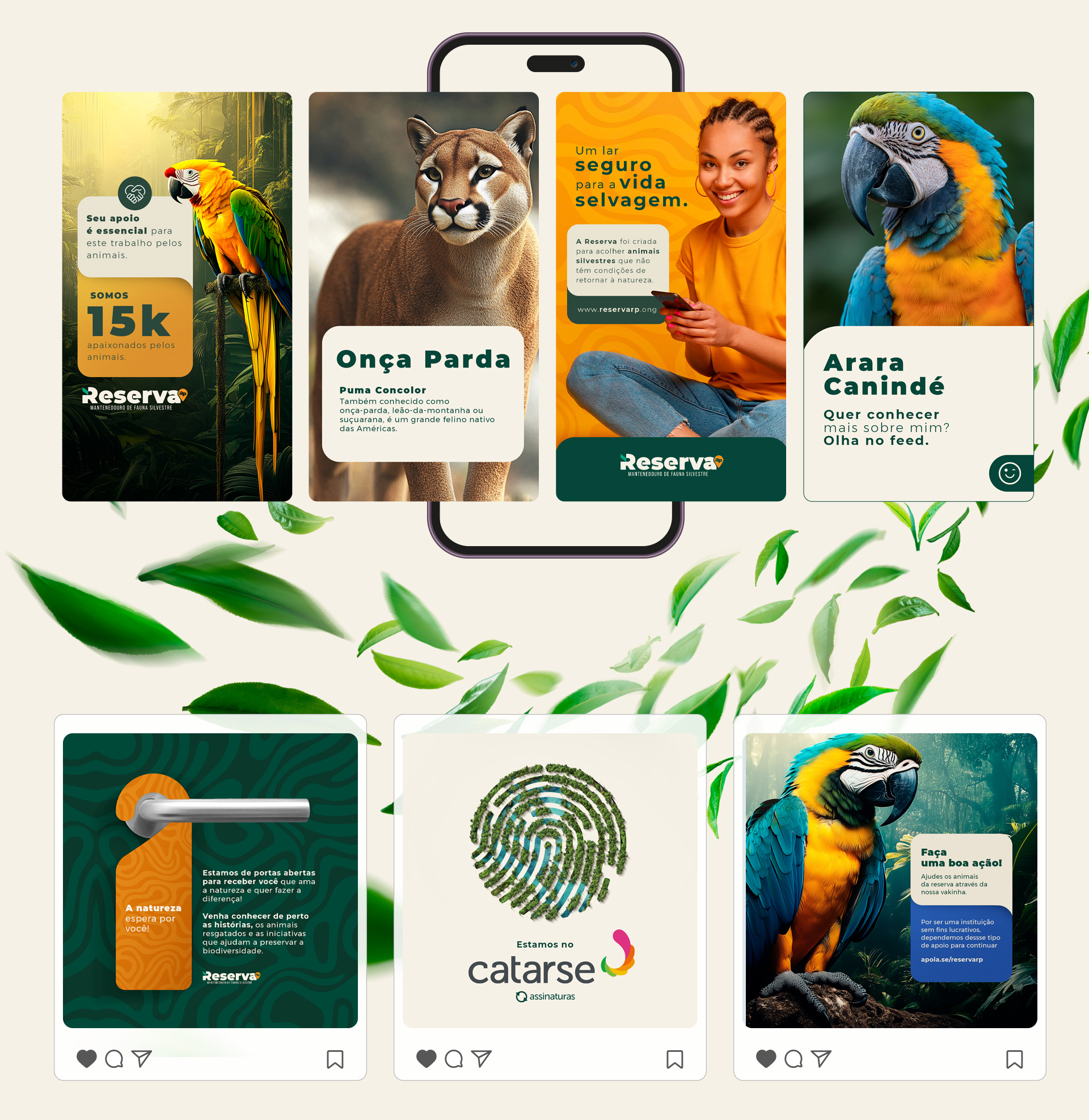 Felipe Henrique - Portfolio